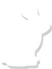 Święta